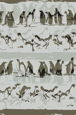 企鹅印花华亿平台图片