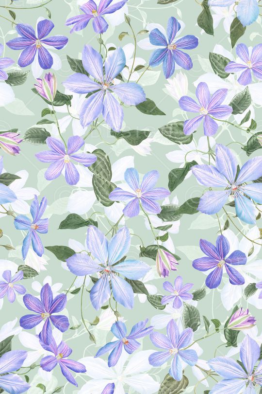 清爽底花卉印花华亿平台图片