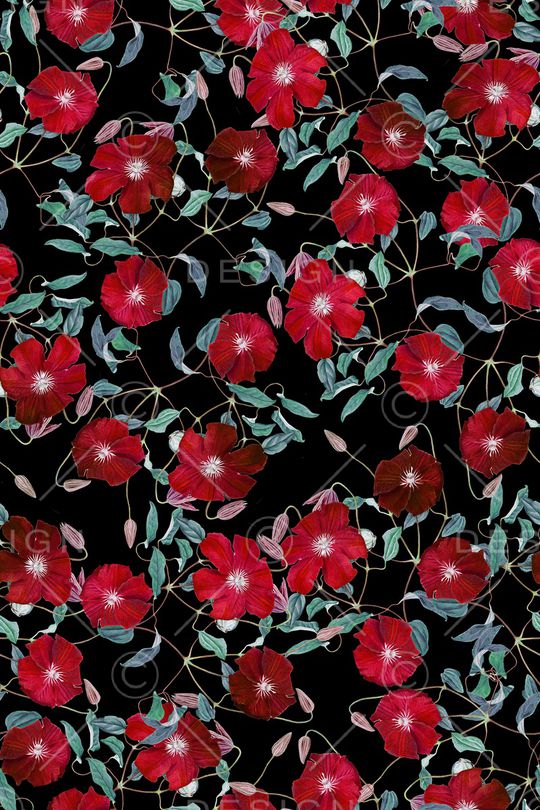 黑底花卉印花华亿平台图片