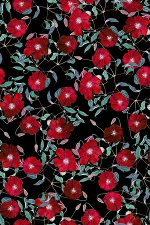 黑底花卉印花华亿平台图片