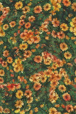 绿植树叶印花华亿平台图片