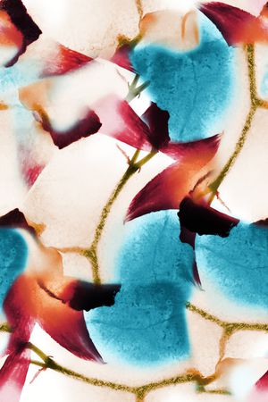 女装印花华亿平台图片