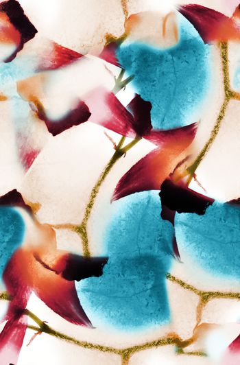 女装印花华亿平台图片