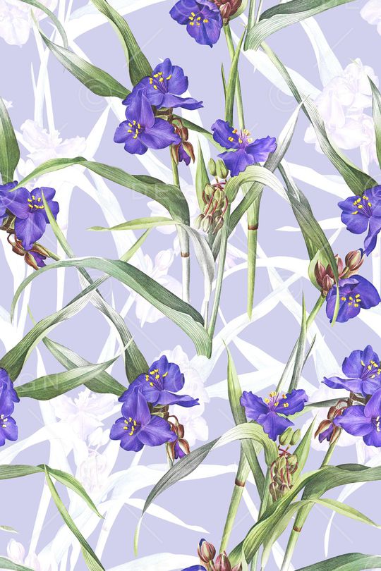 清爽底花卉印花华亿平台图片