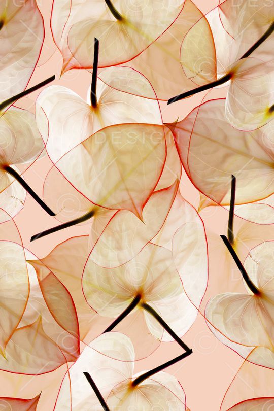 绿植树叶印花华亿平台图片