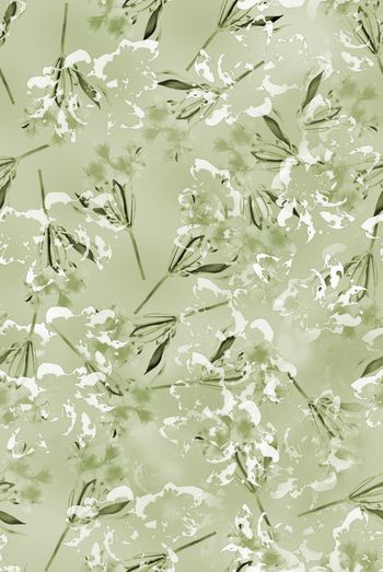 1464276-2021-11-21百合-01