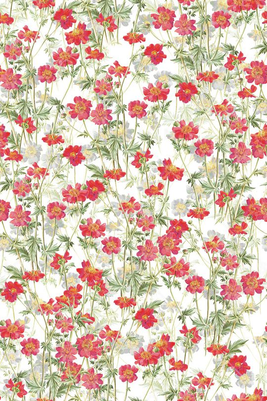 清爽底花卉印花华亿平台图片