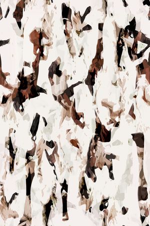 女装印花华亿平台图片