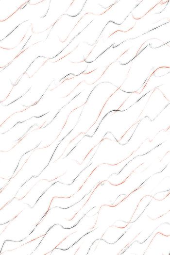 1464443-fei-20211129