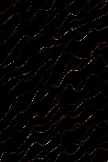 1464444-fei-20211129