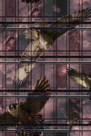 男装满版花印花华亿平台图片