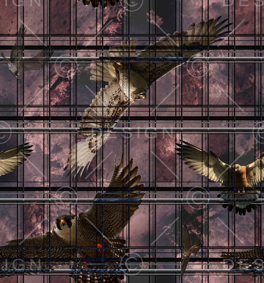 男装满版花印花华亿平台图片