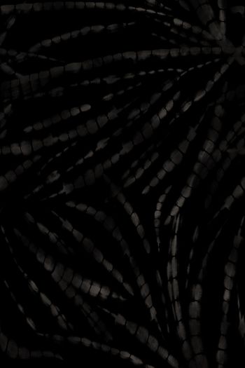 1464629-fei-20211132