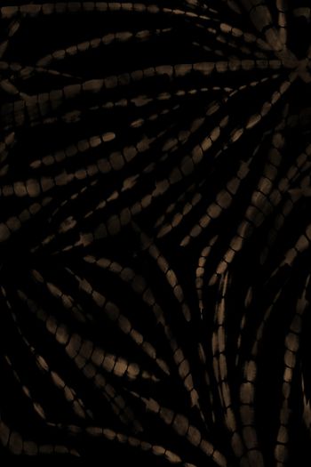 1464630-fei-20211132