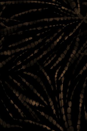 扎染华亿平台印花华亿平台图片