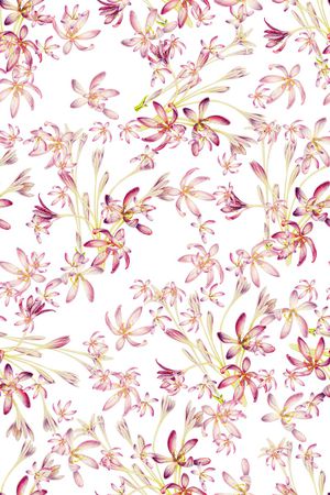 清爽底花卉印花华亿平台图片