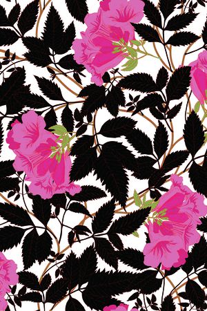 欧美印花华亿平台图片