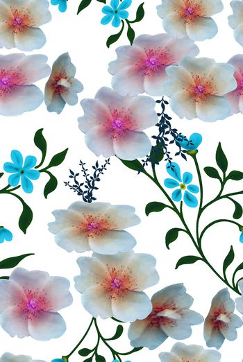 1465870-2021-11-28双色花