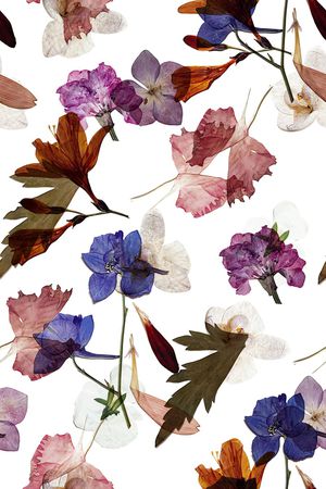 绿植树叶印花华亿平台图片