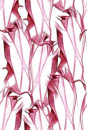 线条印花华亿平台图片