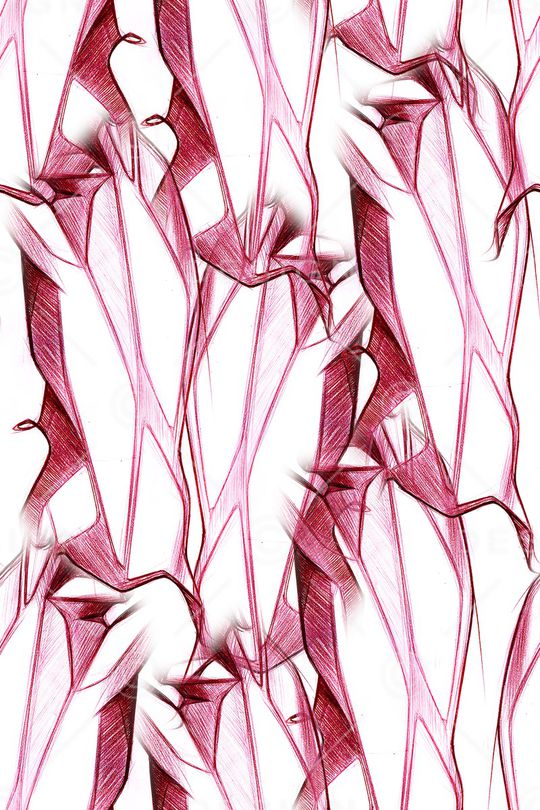 线条印花华亿平台图片