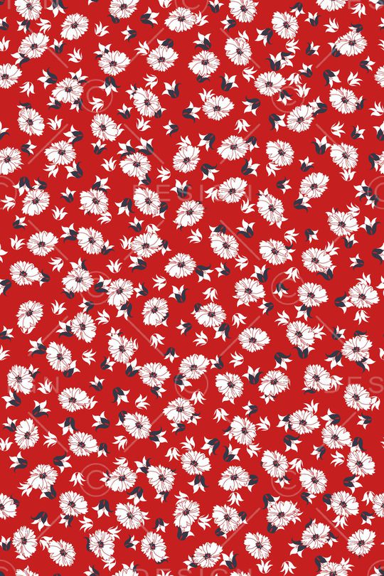 女装印花华亿平台图片