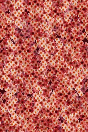 民族风印花华亿平台图片