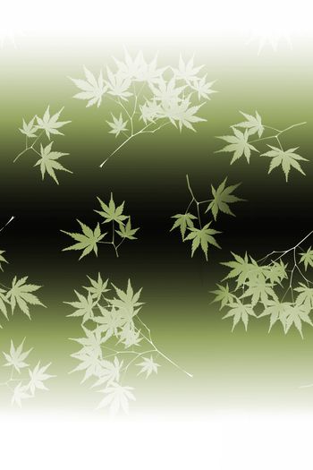 1466593-2021-12-03渐变枫树叶-