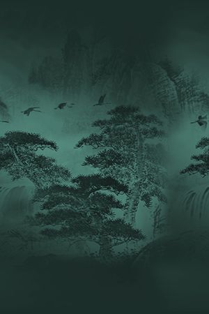 仙鹤印花华亿平台图片