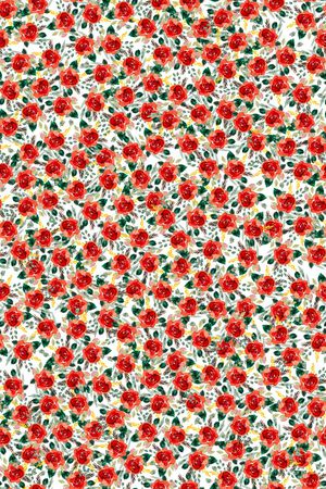 女装印花华亿平台图片