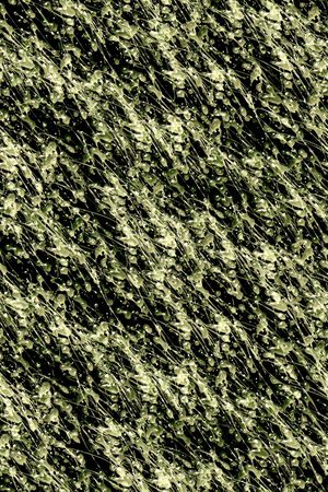 抽象男装印花华亿平台图片