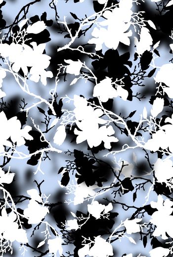 1466925-2021-12-06玉-02