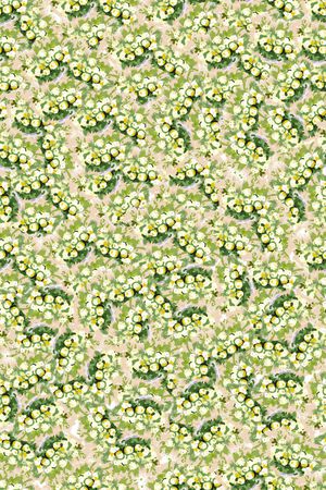 女装印花华亿平台图片