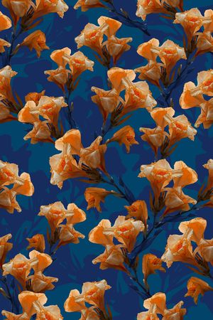 民族风印花华亿平台图片