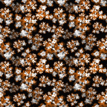 1467384-20211207-xsh-4-4