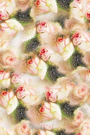 大牌风印花华亿平台图片