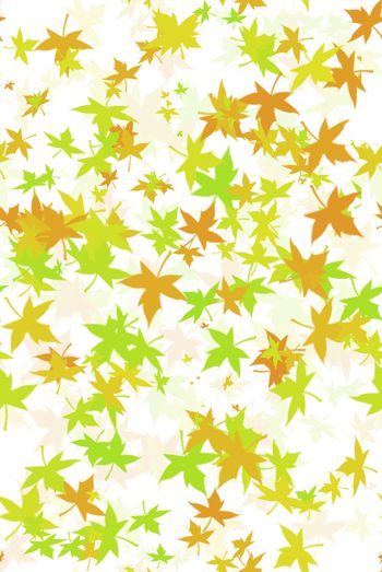 1467843-2021-12-11PS枫叶