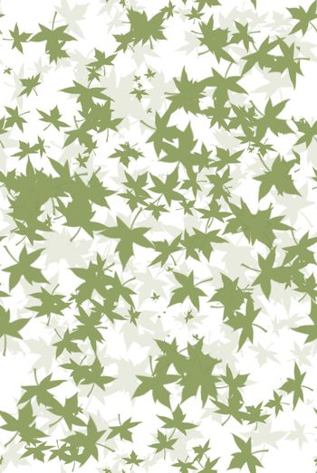 1467844-2021-12-11PS枫叶-0