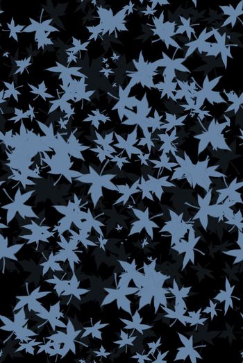 1467845-2021-12-11PS枫叶-0