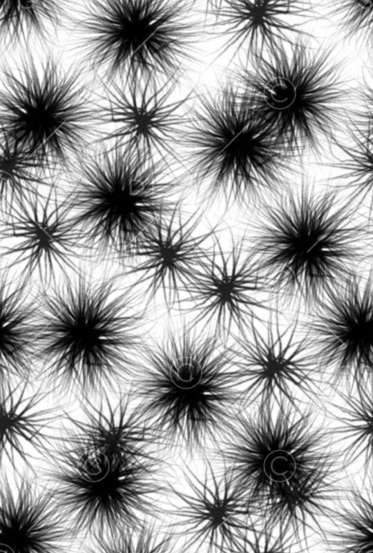 水墨风印花华亿平台图片