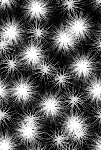 1467847-2021-12-11毛绒-01