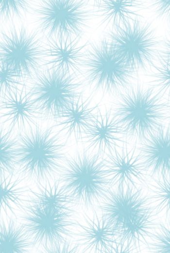 1467848-2021-12-11毛绒-02