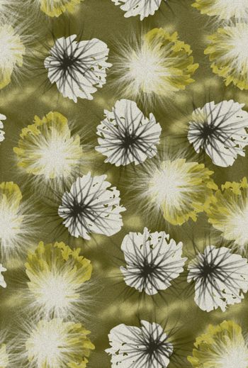 1467854-2021-12-11水花毛绒-0