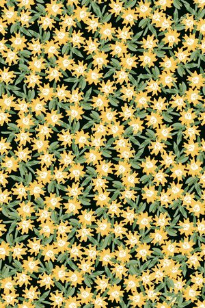 女装印花华亿平台图片