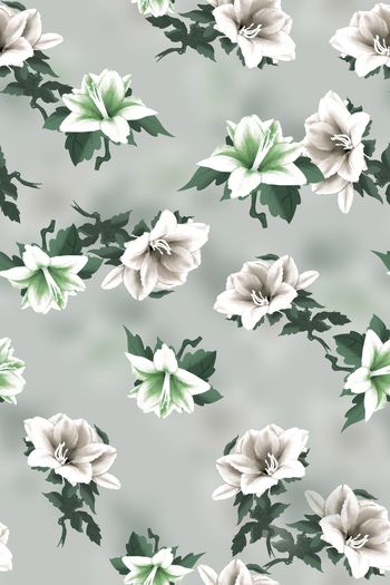 1467898-2021-12-11百合-02