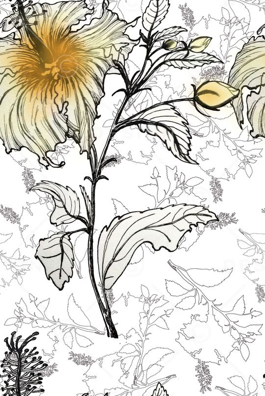 线条画印花华亿平台图片