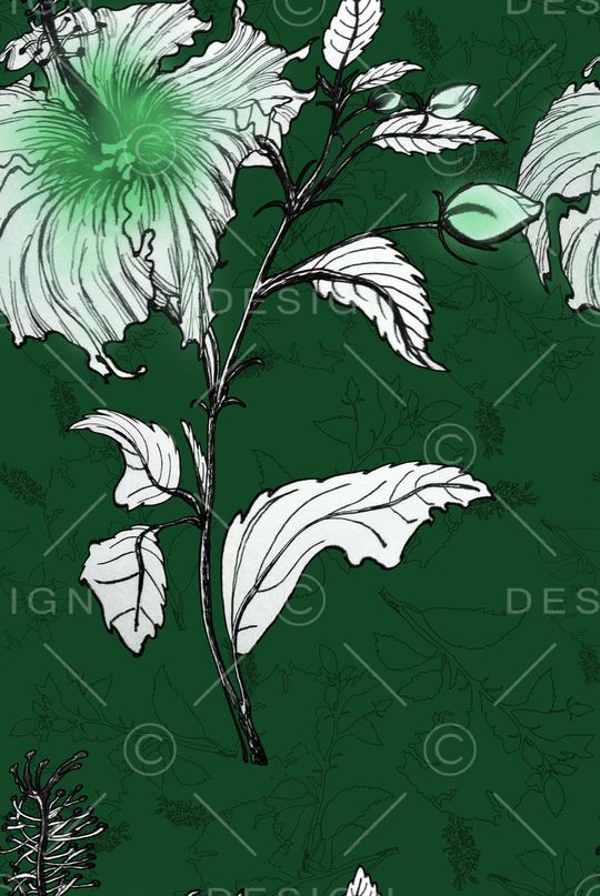 线条画印花华亿平台图片