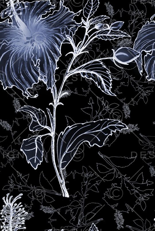 线条画印花华亿平台图片