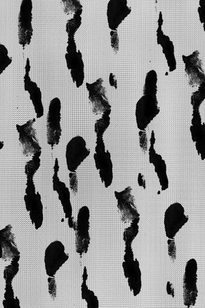 线条印花华亿平台图片