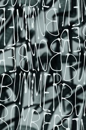 字母印花华亿平台图片